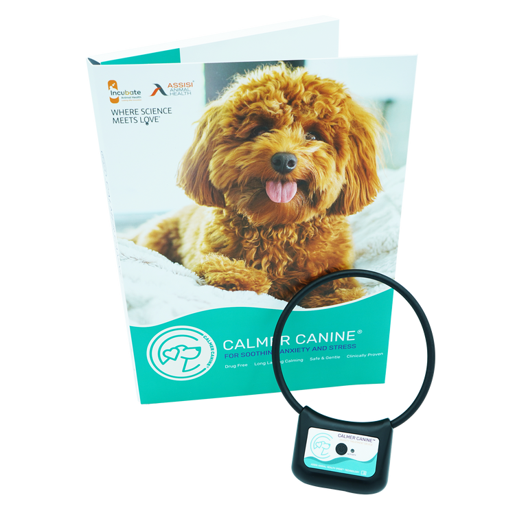 Calmer Canine Device